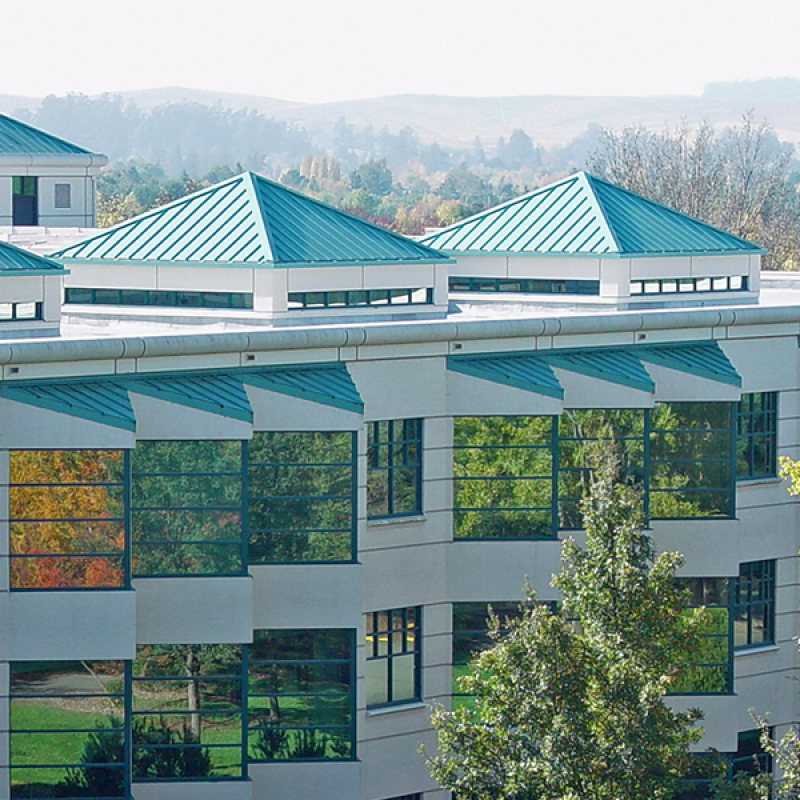 SSU Library Roof Line
