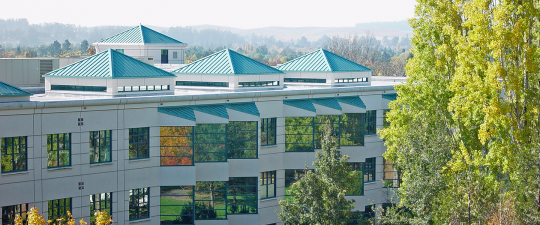 SSU Library Roofline